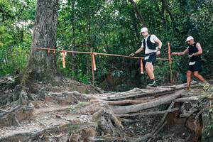 BIB: 
                            <button type="button" onclick="openModal(27805495)" class="btn btn-primary btn-sm float-right btn-popup" data-toggle="modal" data-target=".modal-high-quality">
                        <i class="fas fa-shopping-cart"></i> Add to Cart
                    </button>
                                            <button type="button" onclick="isThisMe(27805495, true)" class="btn btn-success btn-sm float-right btn-popup btn-isme hidden" data-toggle="tooltip" data-placement="bottom" title="นี่คือรูปของคุณใช่ไหม คลิกที่นี่เพื่อเอาเข้าอัลบั้ม">
                        <i class="fas fa-plus"></i> Add to album
                    </button>
                    <button type="button" onclick="isThisMe(27805495, false)" class="btn btn-warning btn-sm float-right btn-popup btn-isnotme hidden">
                        <i class="fas fa-ban"></i> Remove from album
                    </button>